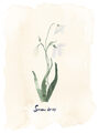 Image Not Available